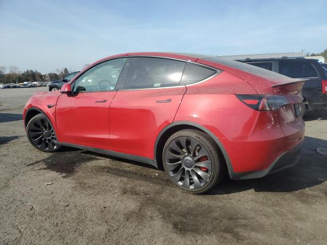 2023 TESLA MODEL Y - 7SAYGDEF6PF708965
