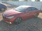 Lot #2962675066 2023 HYUNDAI ELANTRA LI