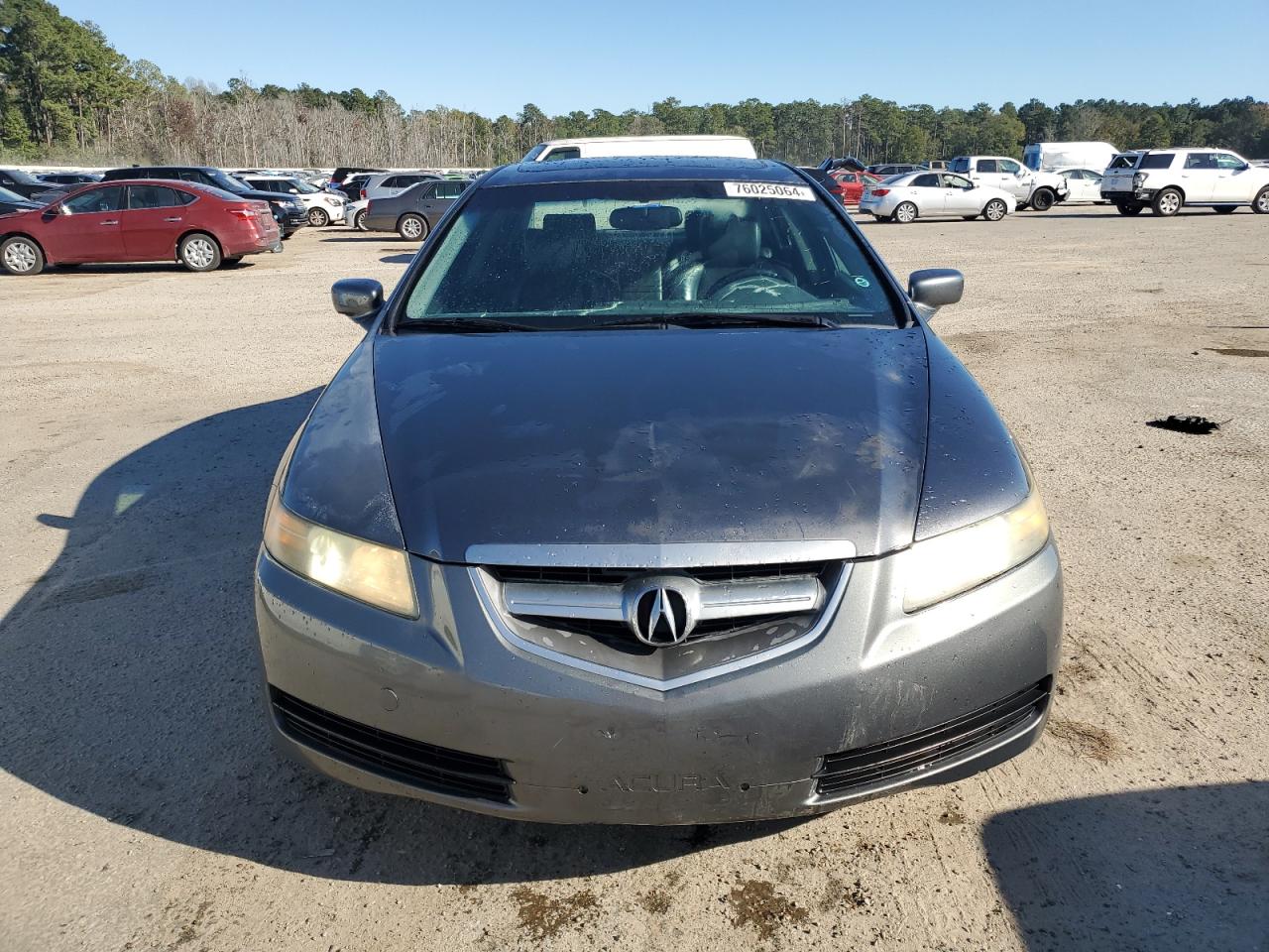 Lot #2910015037 2004 ACURA TL