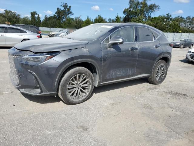 2024 LEXUS NX 350H BA