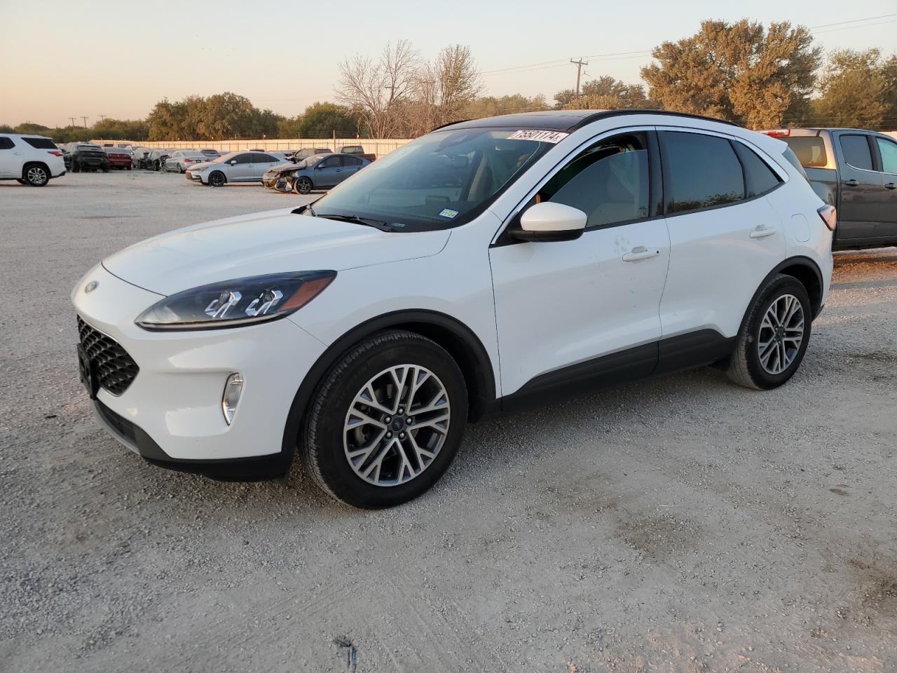 Lot #2989398751 2022 FORD ESCAPE SEL