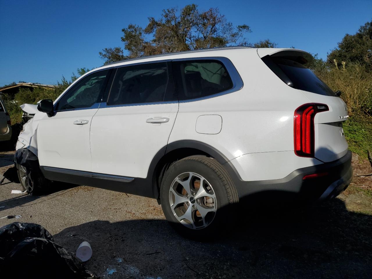 Lot #2986712352 2022 KIA TELLURIDE