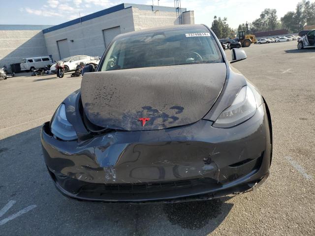 2024 TESLA MODEL Y - 7SAYGDEE5RF082416