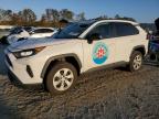 2019 TOYOTA RAV4 LE - 2T3H1RFV8KW039795