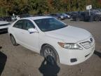 TOYOTA CAMRY BASE photo