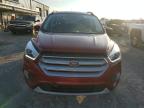 Lot #3024308022 2019 FORD ESCAPE SEL