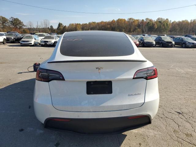 2022 TESLA MODEL Y - 7SAYGDEF5NF313270