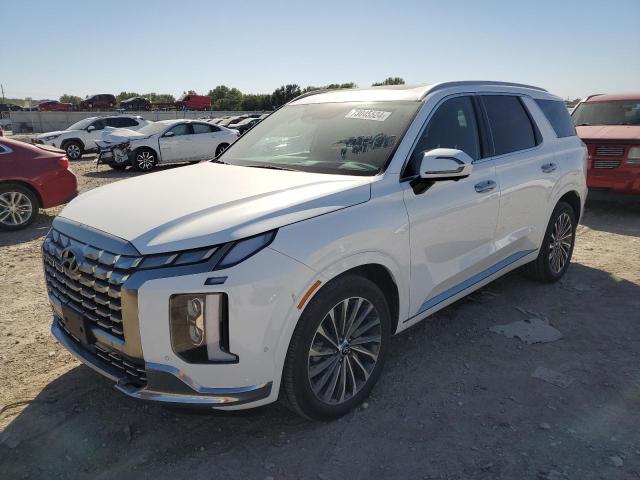 2024 HYUNDAI PALISADE C #3023290990