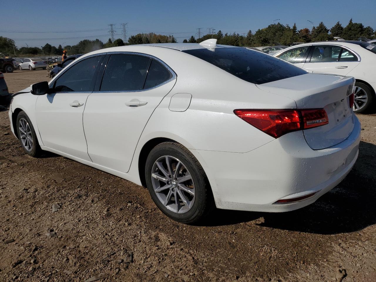 Lot #2938296641 2018 ACURA TLX