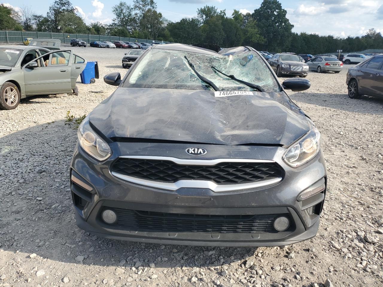 Lot #2977016575 2021 KIA FORTE FE