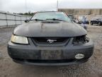 Lot #3024292870 1999 FORD MUSTANG