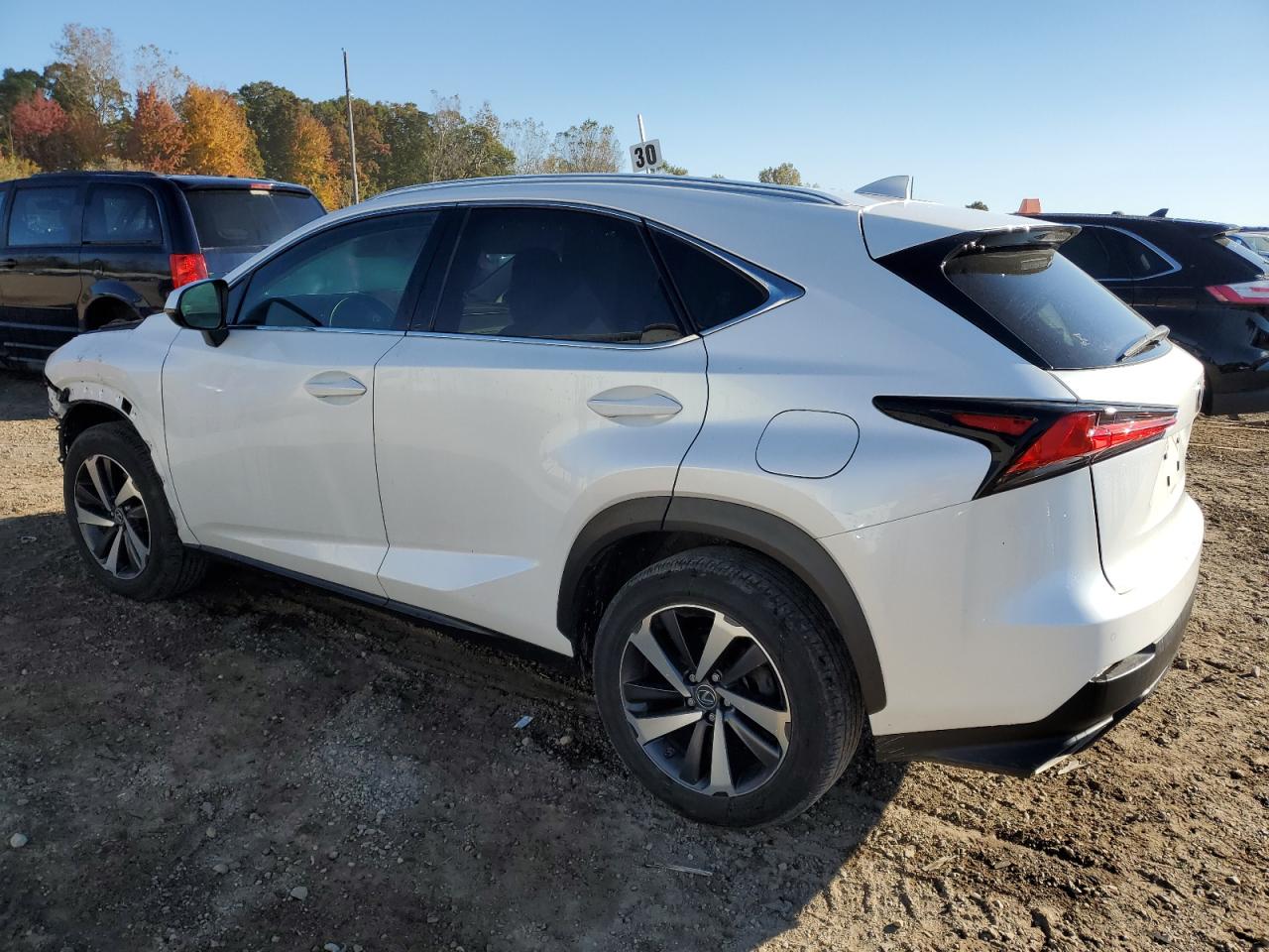 Lot #2959985288 2020 LEXUS NX 300