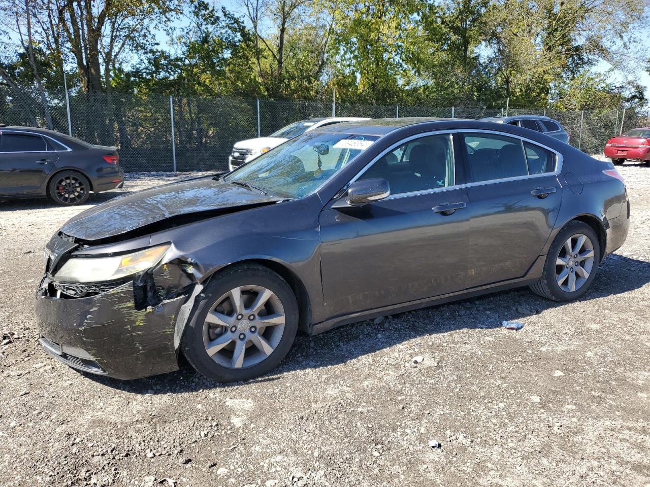 Lot #3026909988 2012 ACURA TL