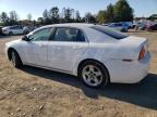 CHEVROLET MALIBU 1LT photo