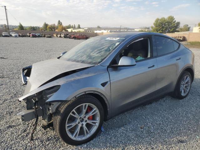 2024 TESLA MODEL Y #2989309991