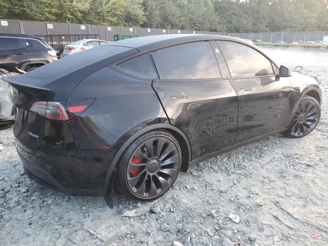 2023 TESLA MODEL Y - 7SAYGDEF8PF893245
