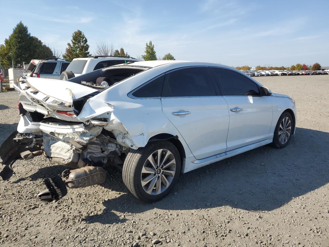 Lot #2977209146 2016 HYUNDAI SONATA SPO