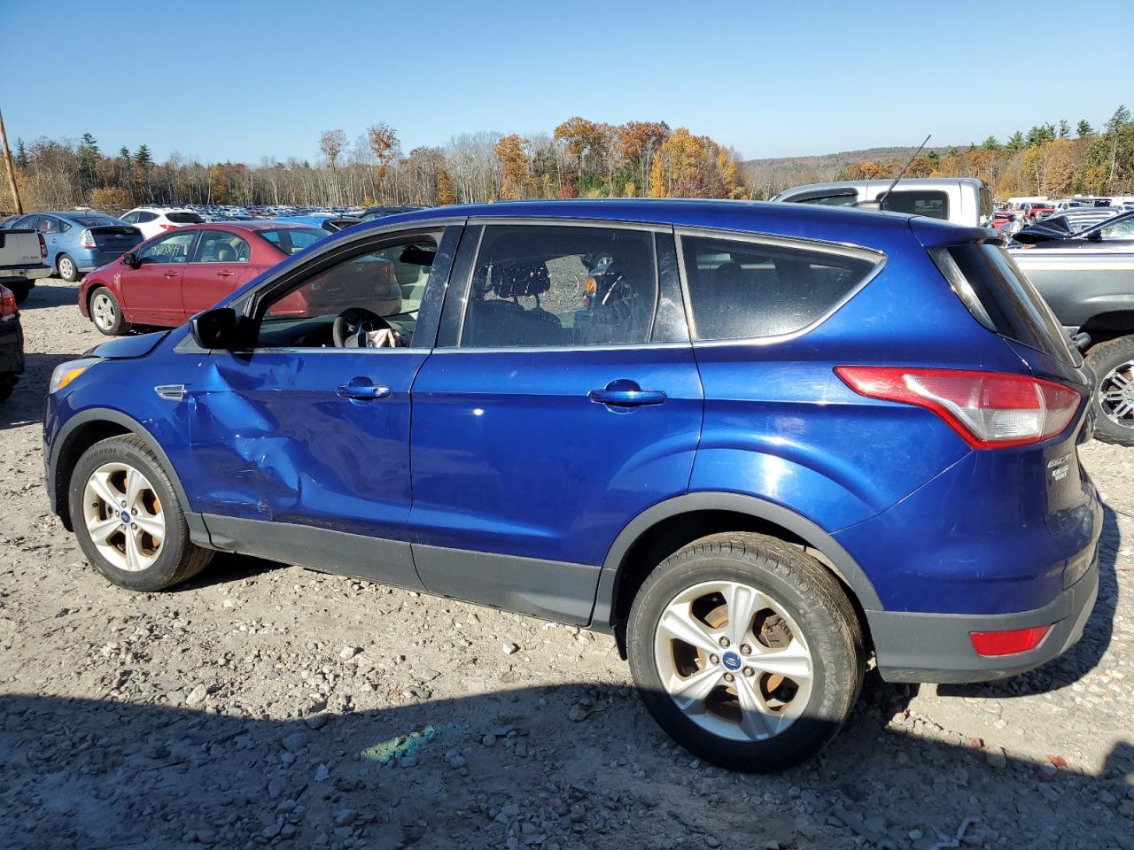 Lot #2925947230 2014 FORD ESCAPE SE