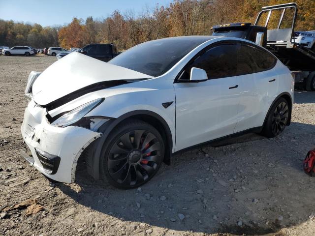 TESLA MODEL Y 2021 white  electric 5YJYGDEE6MF115378 photo #1