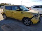 KIA SOUL + photo