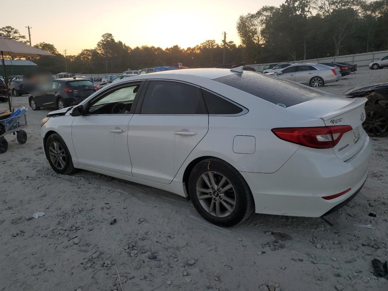 Lot #2972181124 2016 HYUNDAI SONATA SE