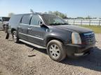 Lot #3025206676 2008 CADILLAC ESCALADE E