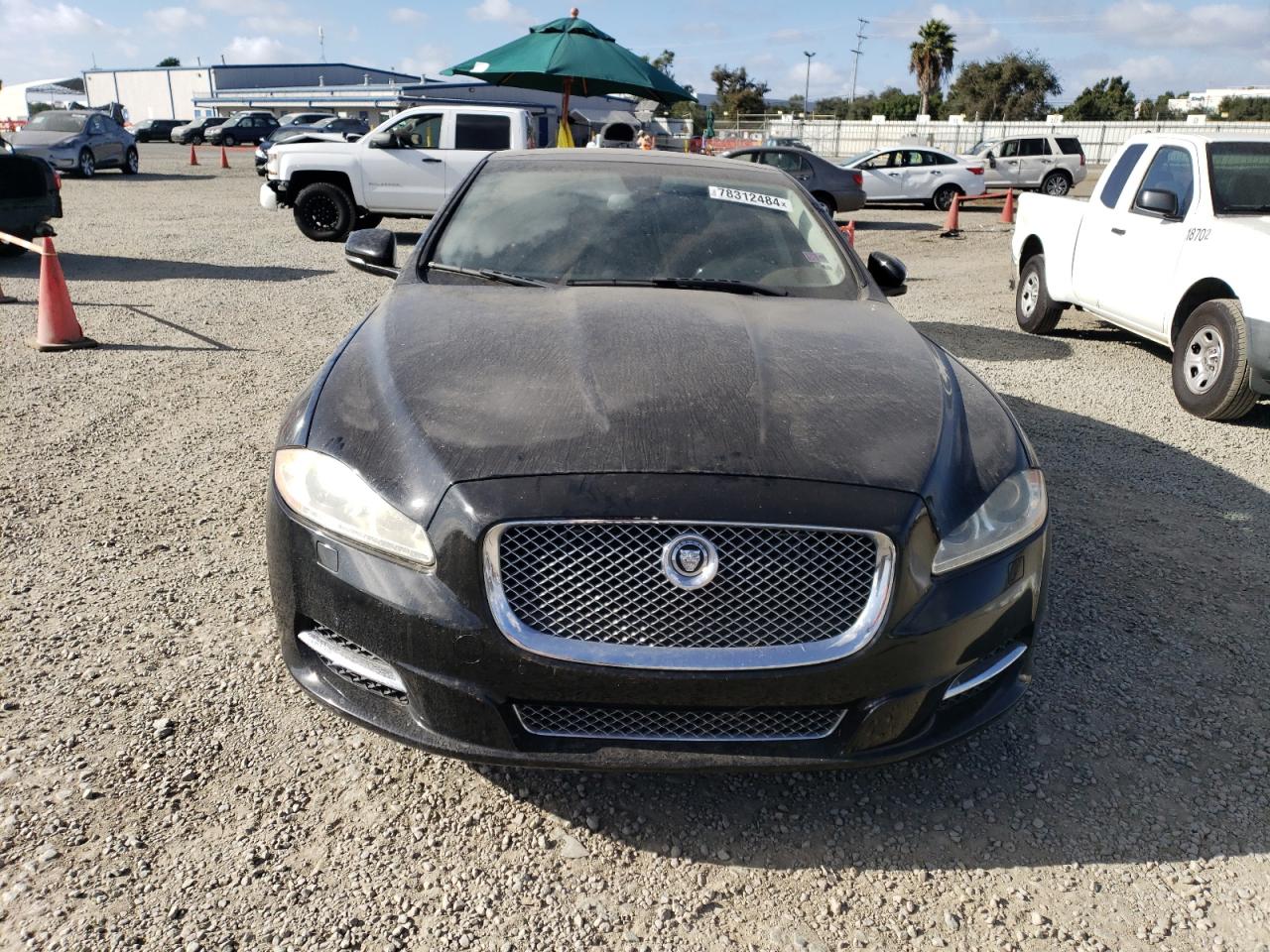 Lot #3028741709 2011 JAGUAR XJL