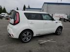 KIA SOUL + photo