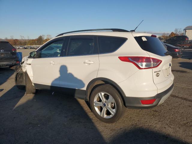 VIN 1FMCU9G93EUD74057 2014 Ford Escape, SE no.2