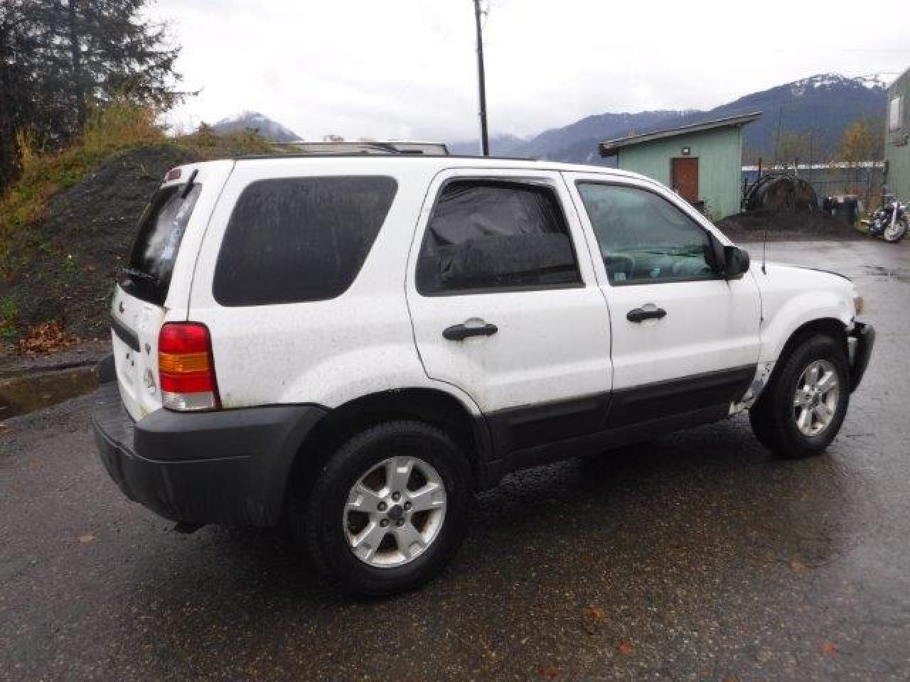 Lot #2928862551 2007 FORD ESCAPE XLT