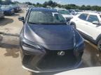 LEXUS NX 450H photo