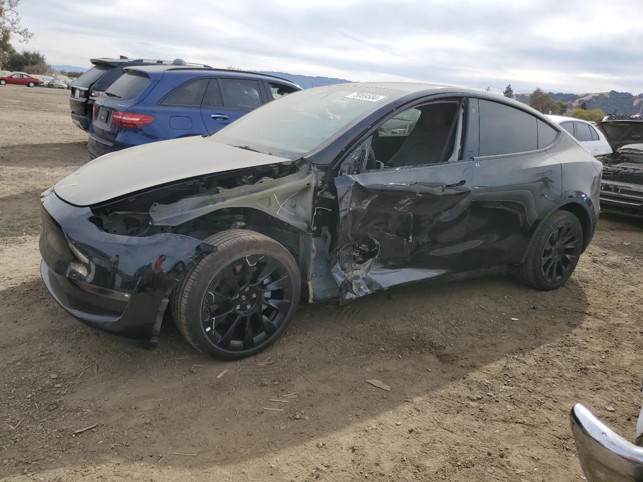 Lot #2986276233 2023 TESLA MODEL Y