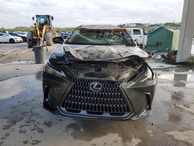 VIN 2T2ADCAZ7PC005036 2023 Lexus NX, 250 no.5