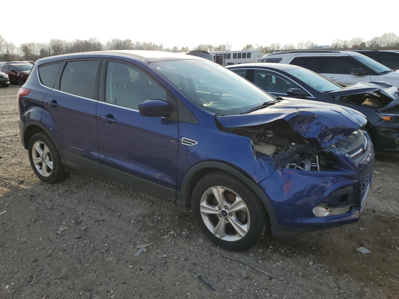 Lot #3024435529 2014 FORD ESCAPE SE