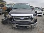 Lot #3027327287 2013 FORD F150 SUPER