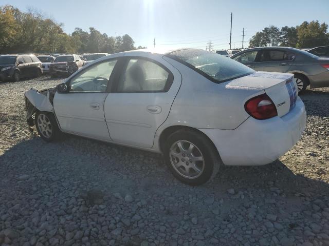 DODGE NEON SXT 2005 white  gas 1B3ES56C75D149814 photo #3