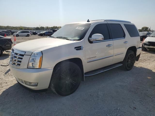 Global Auto Auctions: 2009 CADILLAC ESCALADE L