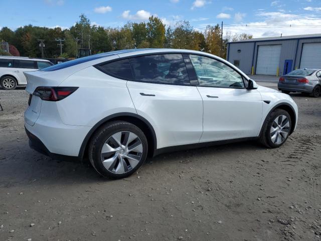 2023 TESLA MODEL Y - 7SAYGDEE6PA077249