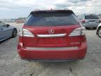 LEXUS RX 350 photo