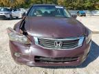 Lot #3025211679 2010 HONDA ACCORD EXL