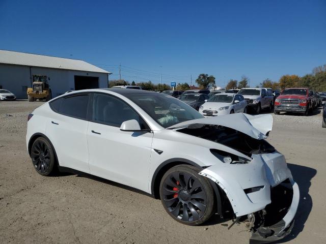 2024 TESLA MODEL Y - 7SAYGDEF5RA274117