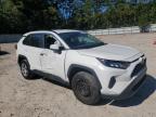 TOYOTA RAV4 LE снимка