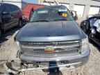 Lot #3024287810 2013 CHEVROLET SILVERADO