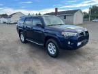 TOYOTA 4RUNNER SR photo