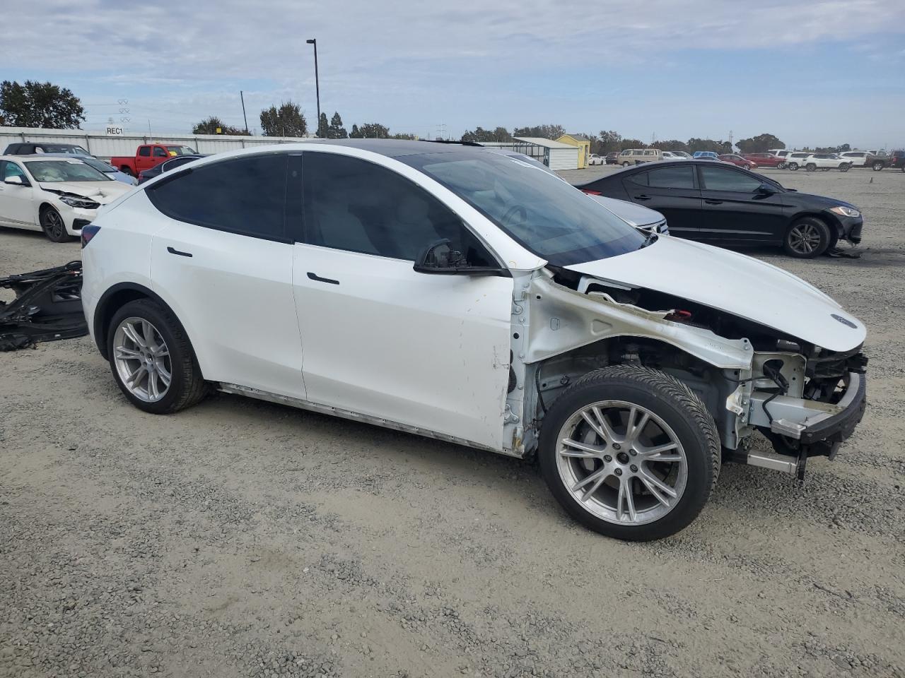 Lot #3030385481 2021 TESLA MODEL Y