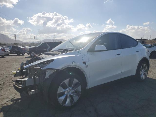 2023 TESLA MODEL Y #2988910585