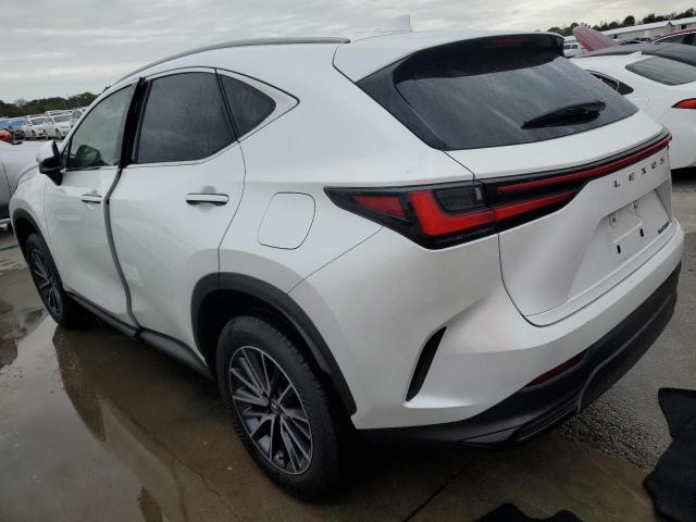 LEXUS NX 250 2023 white  gas JTJADCAZ5P2006346 photo #3