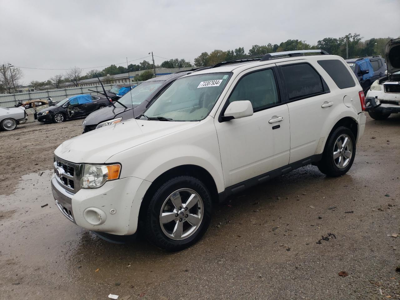 Lot #2931103305 2011 FORD ESCAPE LIM