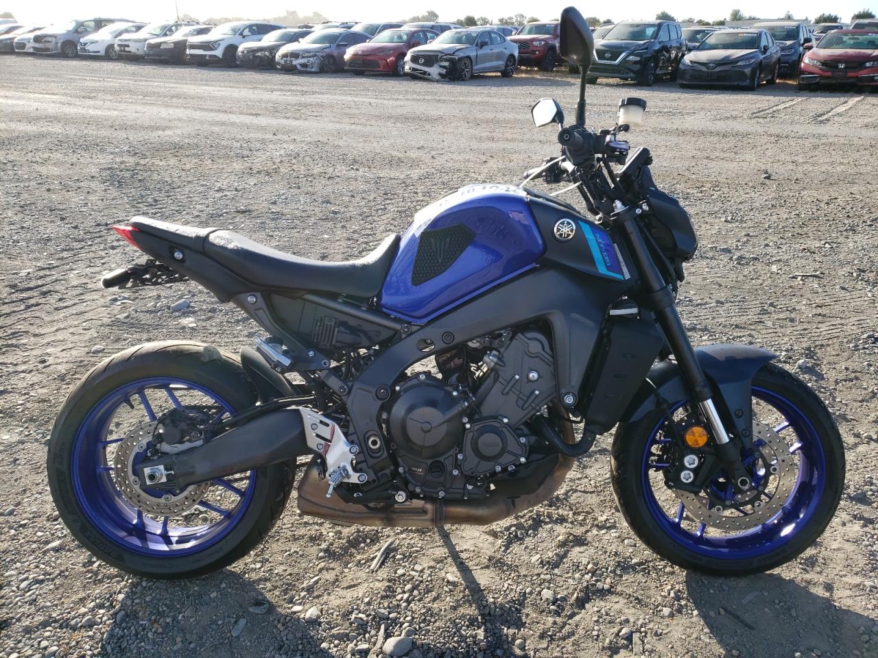 Lot #3025695359 2023 YAMAHA MT09 C