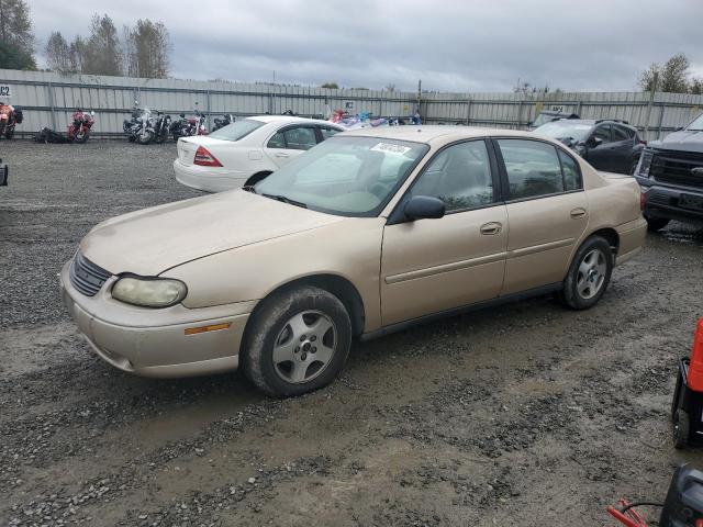 CHEVROLET MALIBU 2003 gold  gas 1G1ND52J83M733447 photo #1